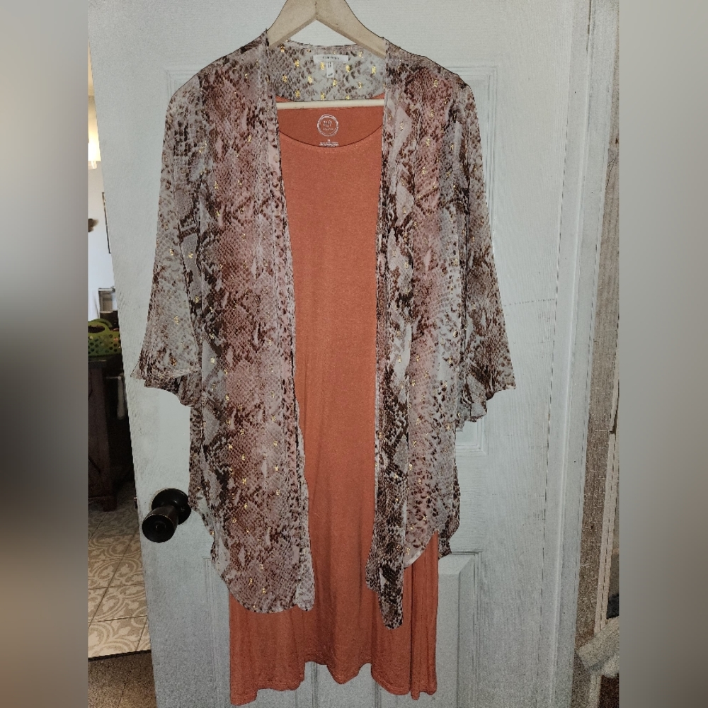 Cardian - Picture 2 of 5